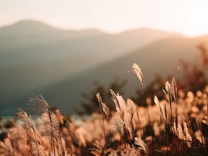 Ep42 Are You Thinking About Counseling “我适合去接受心理咨询吗？