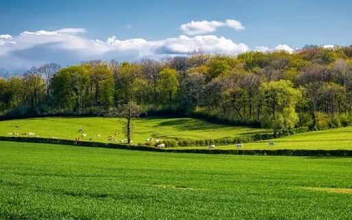 Ep53 习惯性讨好人格患者的觉醒和成长：“我不要你高兴 我要我高兴”