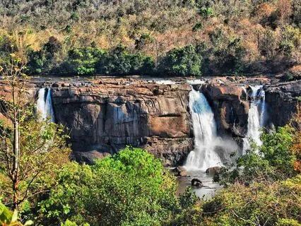 Ep59 Intake 北美心理咨询的初期流程———让你轻松自如地进入咨询室