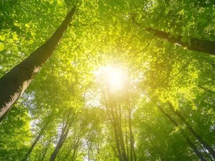 Epic Morning Affirmations For Success And Positive Energy