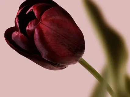 Epigenetics Taught Me That Certain Aspects Of Myself Are Not Set In Stone