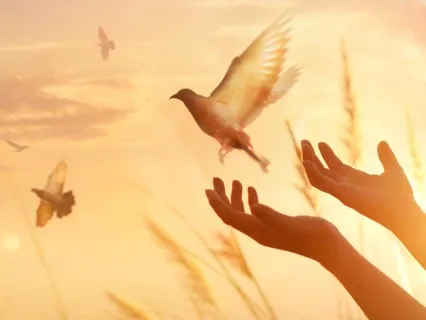 Episode 137: Trust In Yourself & Your Body | Erika Beal