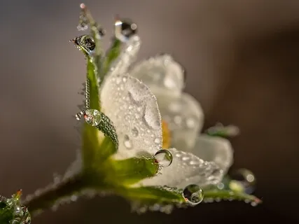 Episode 139: Paint Your Masterpiece | Michael Fabber