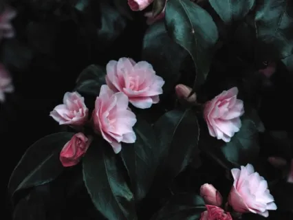 Episode 141: What Is It That You Want & How To Get It