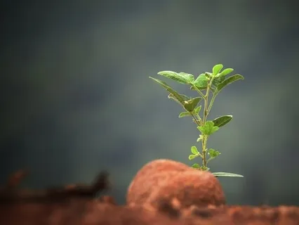 Episode 148: 10 Actions To Skyrocket Your Self-Growth