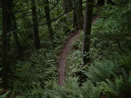 Episode 29 - Human Design Profile