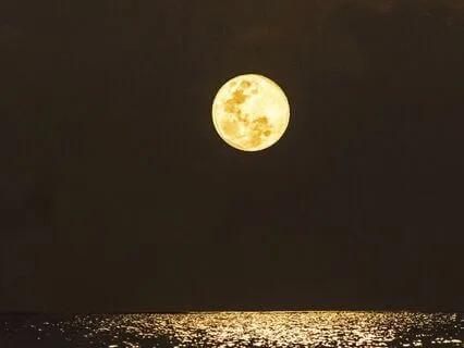 Episode 8 - Reflector Human Design Type