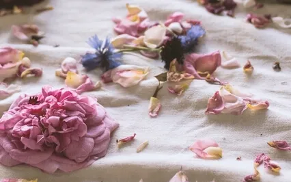 Episode Fifty-Four: The Byte-Loretta Downs