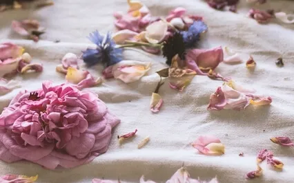 Episode Fifty-Four: The Interview-Loretta Downs