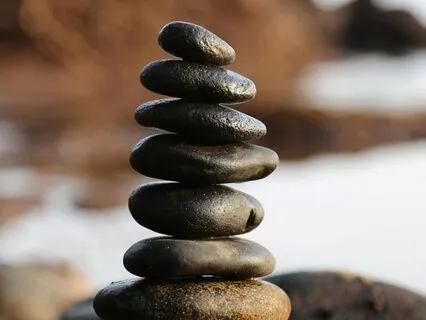 Episode Five: The Nervous System Switch