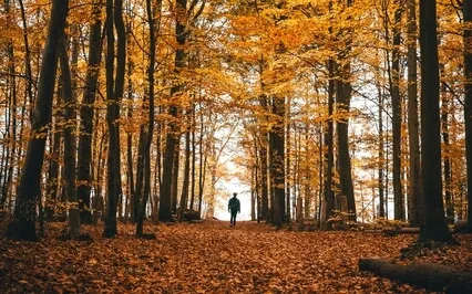 Episode Forty-Eight: The Interview-Joel Nakamura