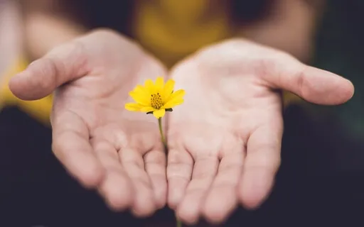 Episode Forty-One: The Byte-Sparks