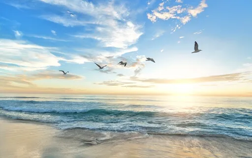 Episode Forty: The Byte - Dr. Julie Todd