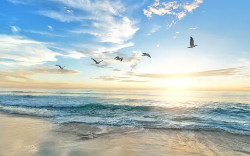 Episode Forty: The Interview - Dr. Julie Todd