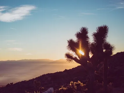 Episode Four: The Byte-Victor