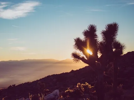 Episode Four-The Interview-Victor