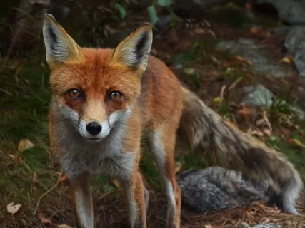 Episode Fourteen:  The Byte - Pastor Jaime Nieves