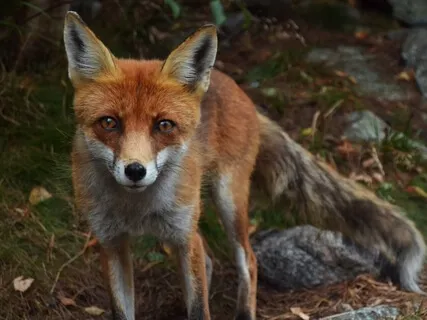 Episode Fourteen:  The Interview - Pastor Jaime Nieves