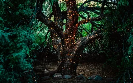 Episode Ninety-Eight: The Interview-Cory Thomas Hutchison