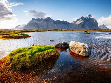 Episode One: The Interview-Dee