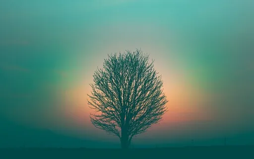 Episode Seventy-Seven: The Interview-Rachana Patni