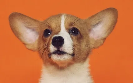 Episode Sixty-Five: The Interview - Calvin Tucker