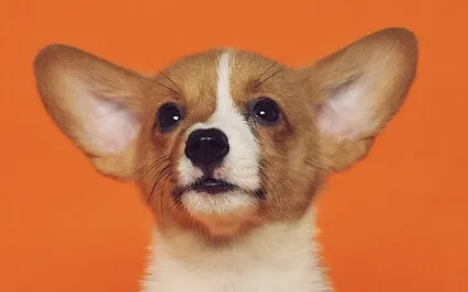 Episode Sixty-Fve: The Byte - Calvin Tucker