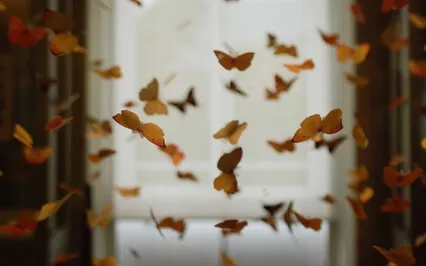 Episode Sixty-Two: The Byte - Wendy Rule