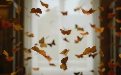 Episode Sixty-Two: The Interview - Wendy Rule