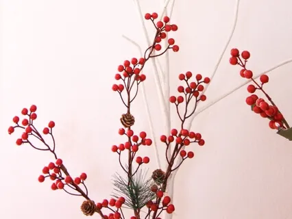 Episode Ten: The Interview-Rachel