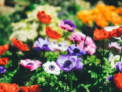 Episode Three: The Byte-Ellen