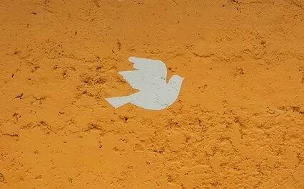 Episode Twenty-Eight:  The Interview - Nora Cazares