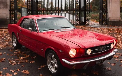 Episode Twenty-Four - The Interview - Paul Black