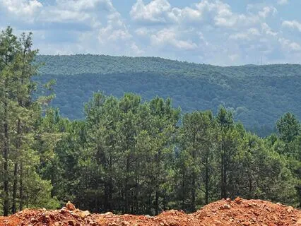 Epitome Of Loving Connection To Earth & Sky For Relaxing