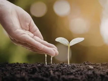 EQ- Darkness Is Where Seeds Are Stored (3.26.26)