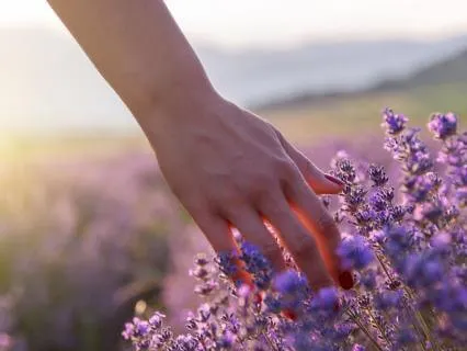 EQ- Longing To Belonging Only Requires Be-ing (3-30-26)