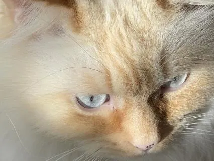 EQ-Your Breath Is Your Stable Emotional Support (3-18-26)