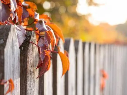 EQ- Your Emotional Wisdom Is Within You (3-3-26)