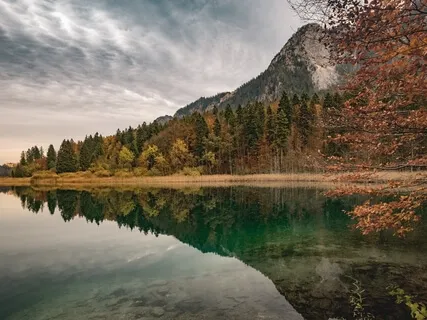 Nurturing Equanimity