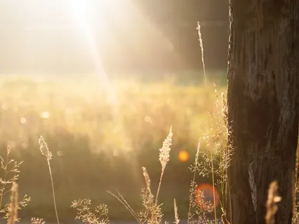 Equanimity & Peace Meditation - Inspired By Jack Kornfield