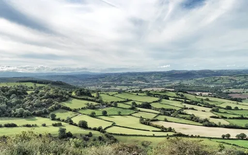 Equanimity: Giving Beings Space