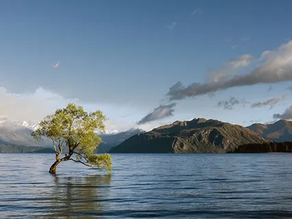 Equanimity Guided Meditataion