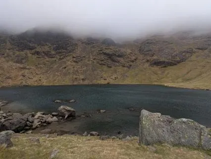 Equanimity In The Office Storm