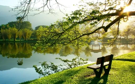 Equanimity Meditation