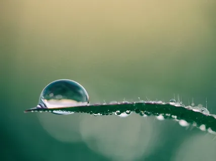 Equanimity Practice For Finding Peace In Turbulent Times (Shiviti)