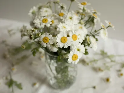 Equanimity Of Mind & Sensory Control Leads To Deep Calmness 