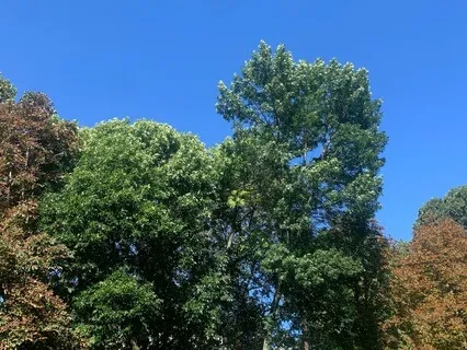 Equinox Meditation And Reflection