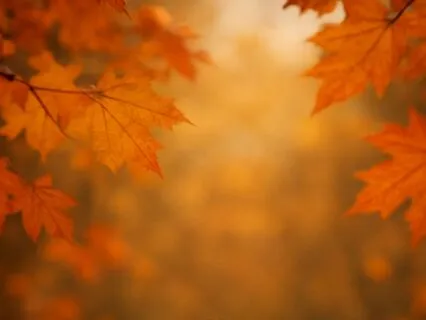 Equinox Ritual: Balance, Release & Gratitude