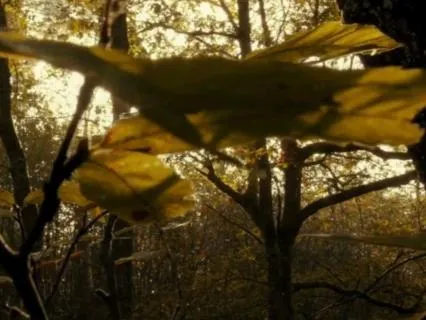 Equinox | The Turning