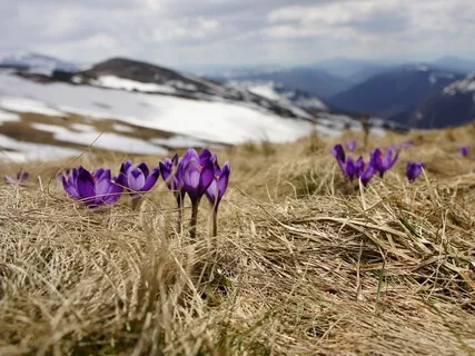 Equinox - The Wisdom Of Winter & A Prayer For Spring